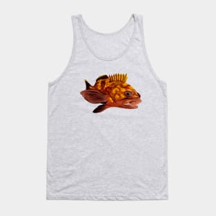 grouper - fish Tank Top